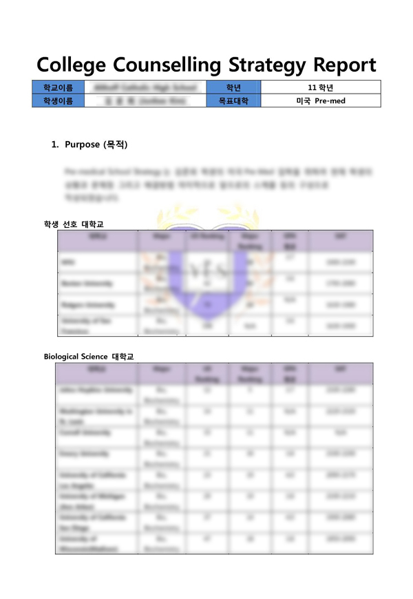 전략리포트 양식 샘플1