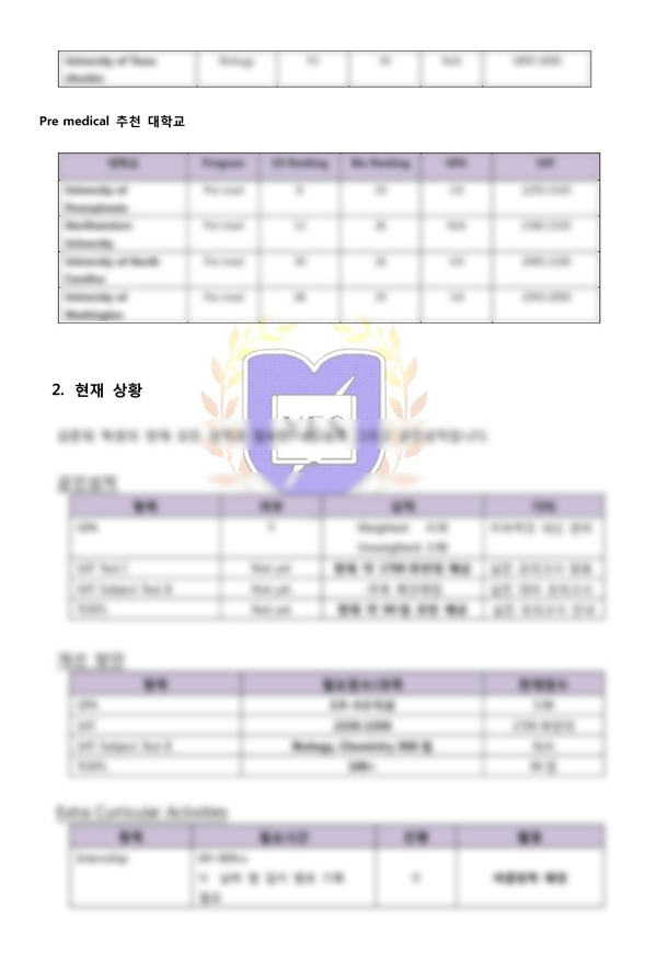 전략리포트 양식 샘플2