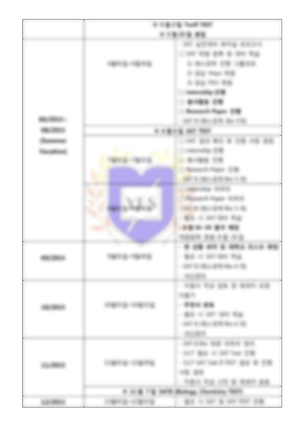 전략리포트 양식 샘플6