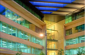 University of Queensland_2