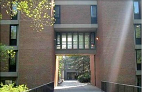 York University_2