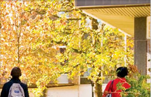 Culture Works at King’s University College_2