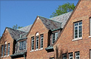 Michigan State University_2