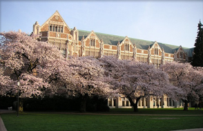 University of Washington_1