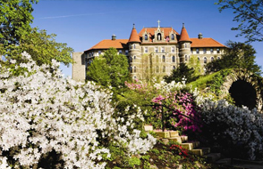 FLS Chestnut Hill College_1