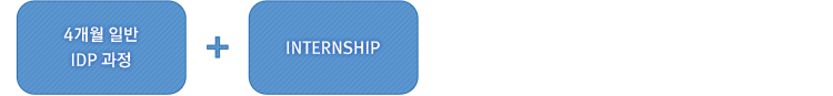 4개월 일반 IDP과정 INTERNSHIP