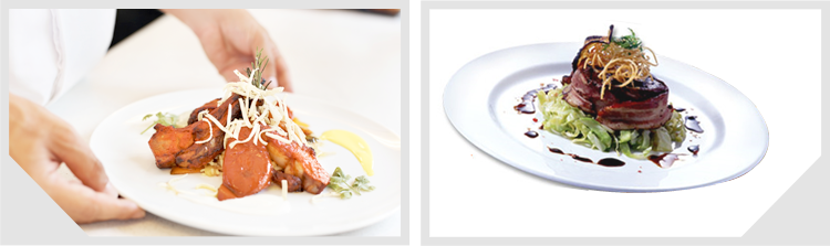 뉴질랜드 Culinary Arts 뉴질랜드 Culinary Arts